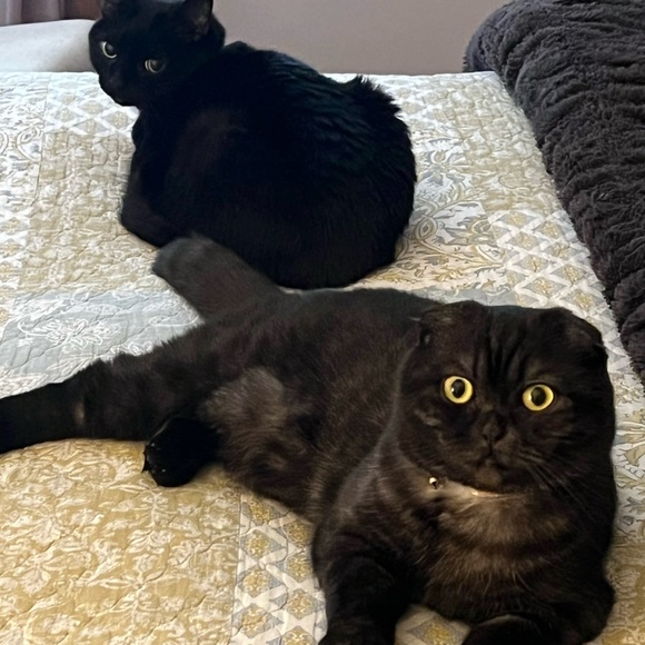 Meet your Poshmark Ambassador, Jessica - Picture 13 of 13